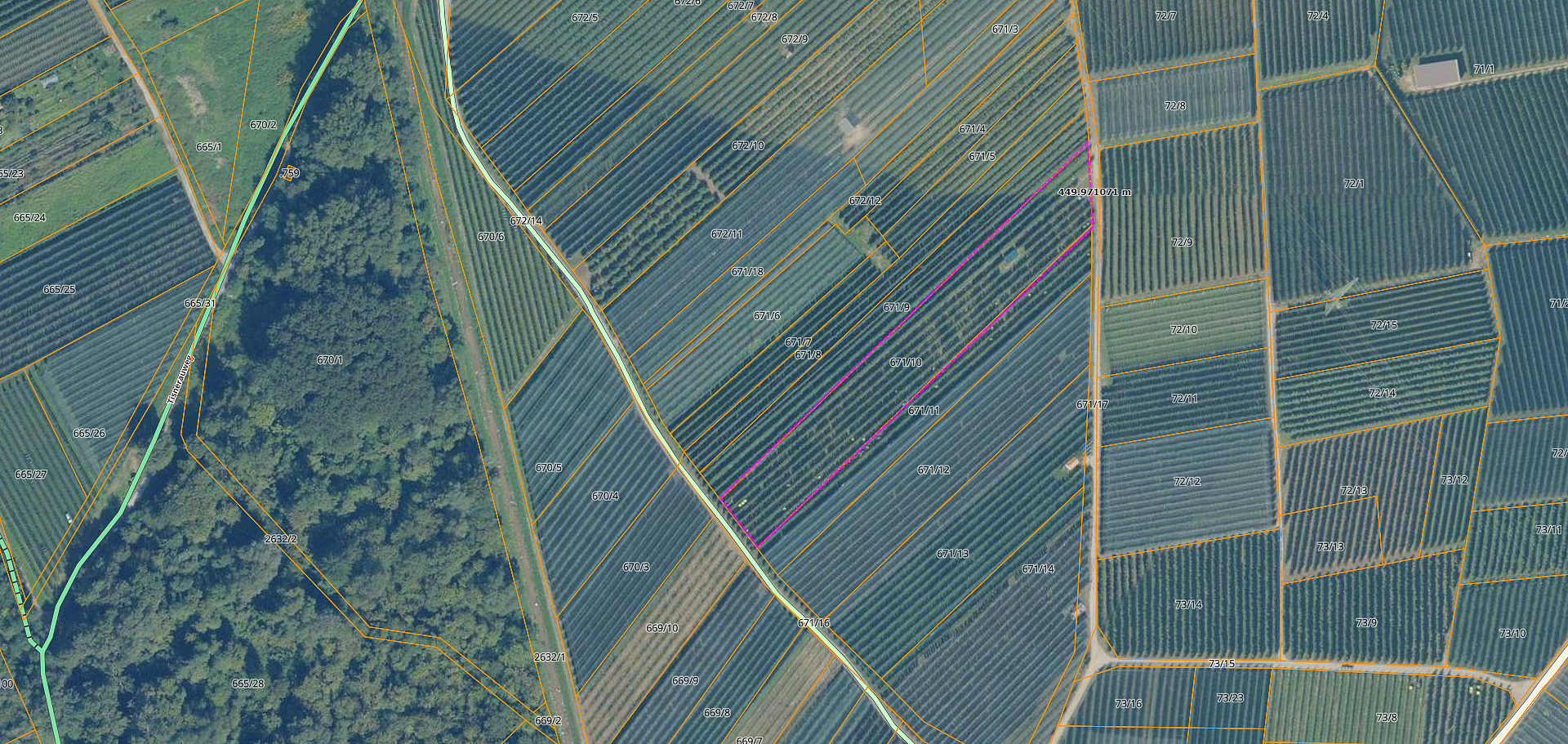 Apfelanlage zu verkaufen - Tisner Auen