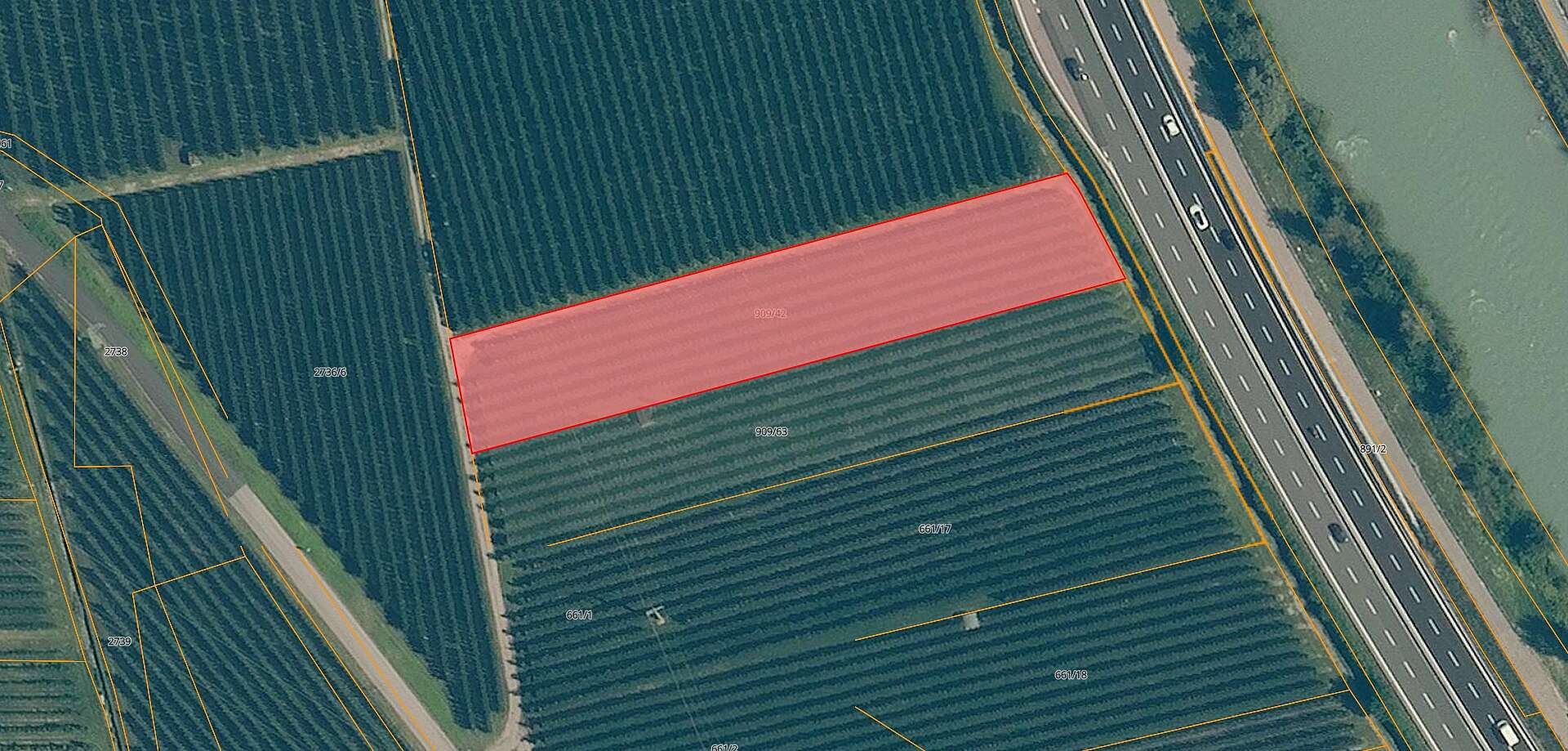 VENDESI FRUTTETO A  GARGAZONE