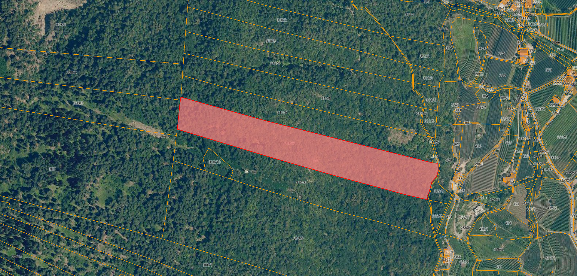 Waldstück in Lana zu verkaufen