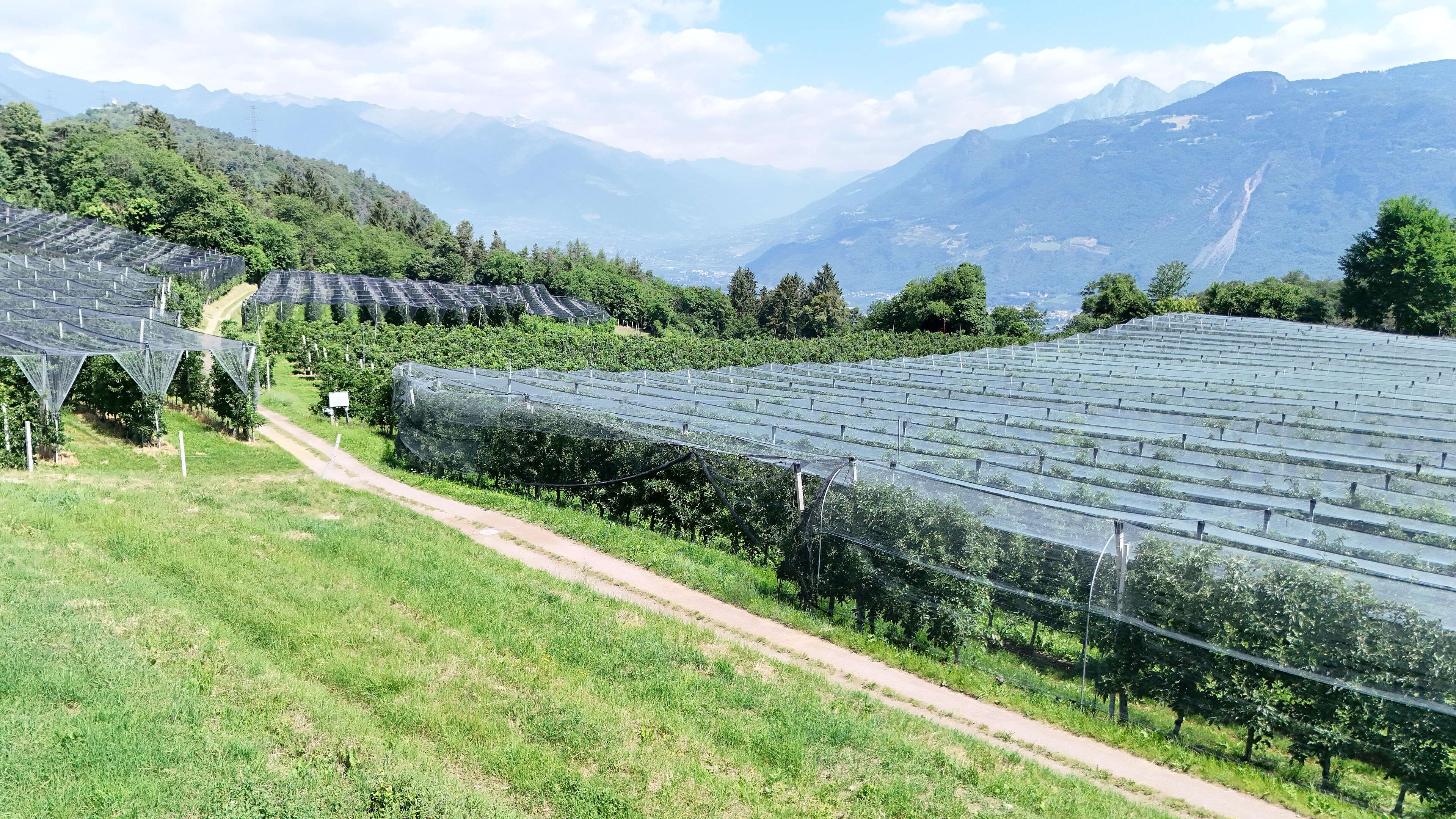 Baugrund in Auffüllzone B2 in Tisens zu verkaufen